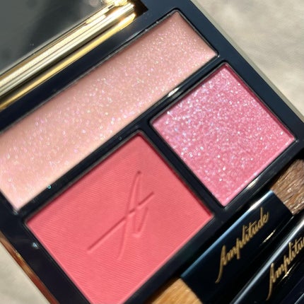 コンスピキュアス アイズ/Amplitude/アイシャドウパレットを使ったクチコミ(4枚目)