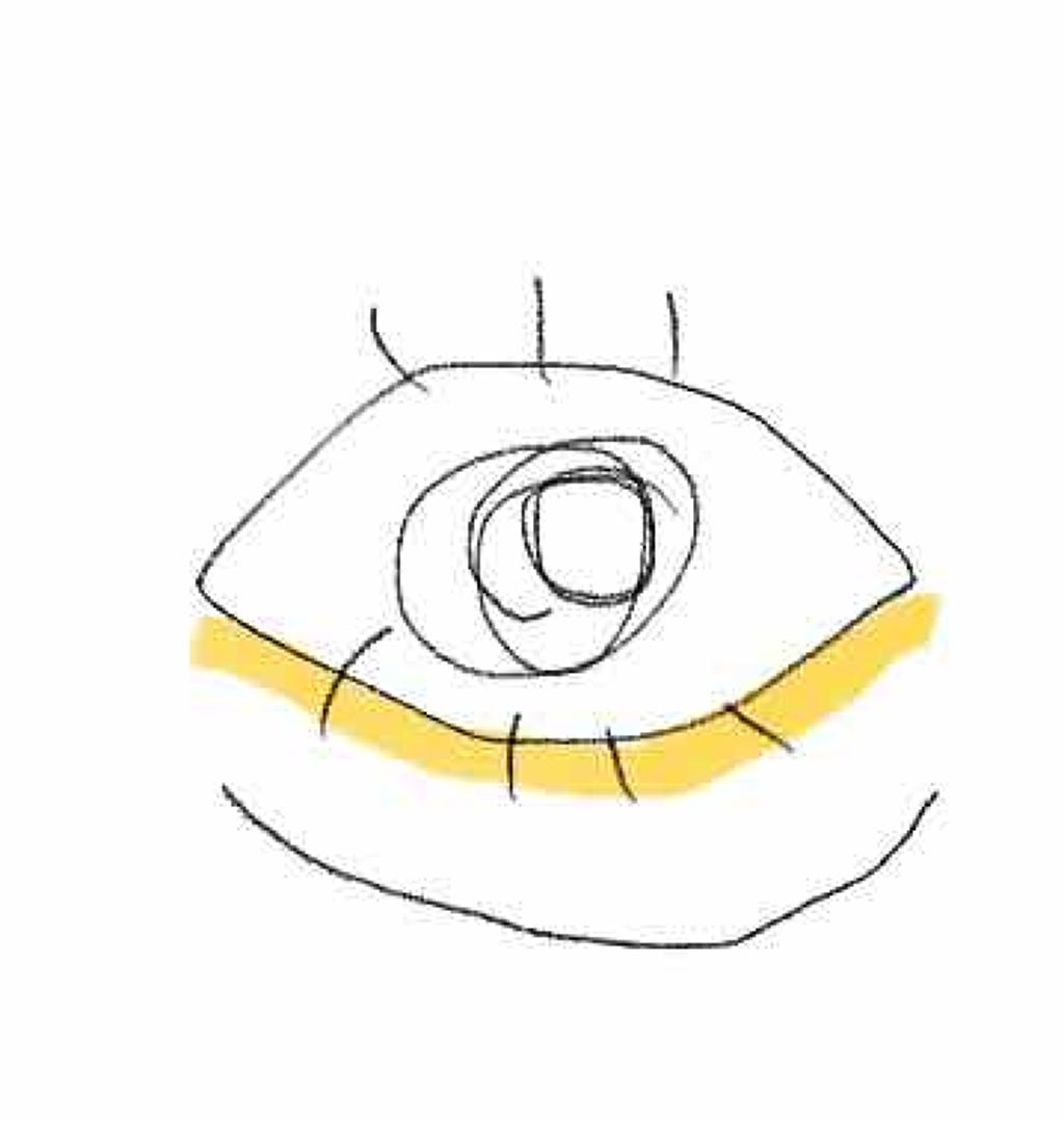 シークレットカラーアイズ/キャンメイク/アイシャドウパレットを使ったクチコミ(1枚目)