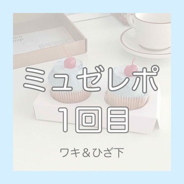 ミュゼに通い始めました！効果はある？ない？




.☆.｡.:.+*:ﾟ+｡　.ﾟ･*..☆.｡.:*☆.。.:*・°☆.。.:*・





ミュゼの100円キャンペーンを見て通い始めました！

な