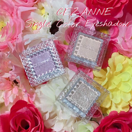 シングルカラーアイシャドウ/CEZANNE/単色アイシャドウを使ったクチコミ(1枚目)