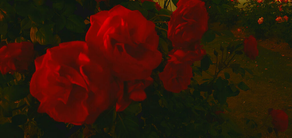 アイカラー N(パウダー)/マキアージュ/単色アイシャドウを使ったクチコミ（1枚目）