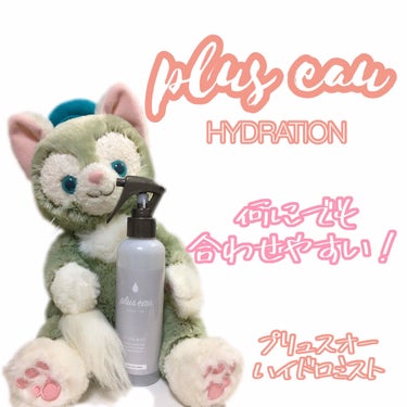 ハイドロミストN/plus eau/アウトバストリートメントを使ったクチコミ（1枚目）