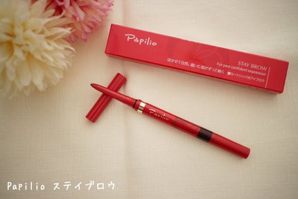ステイブロウ/Papilio/アイブロウペンシルを使ったクチコミ(1枚目)