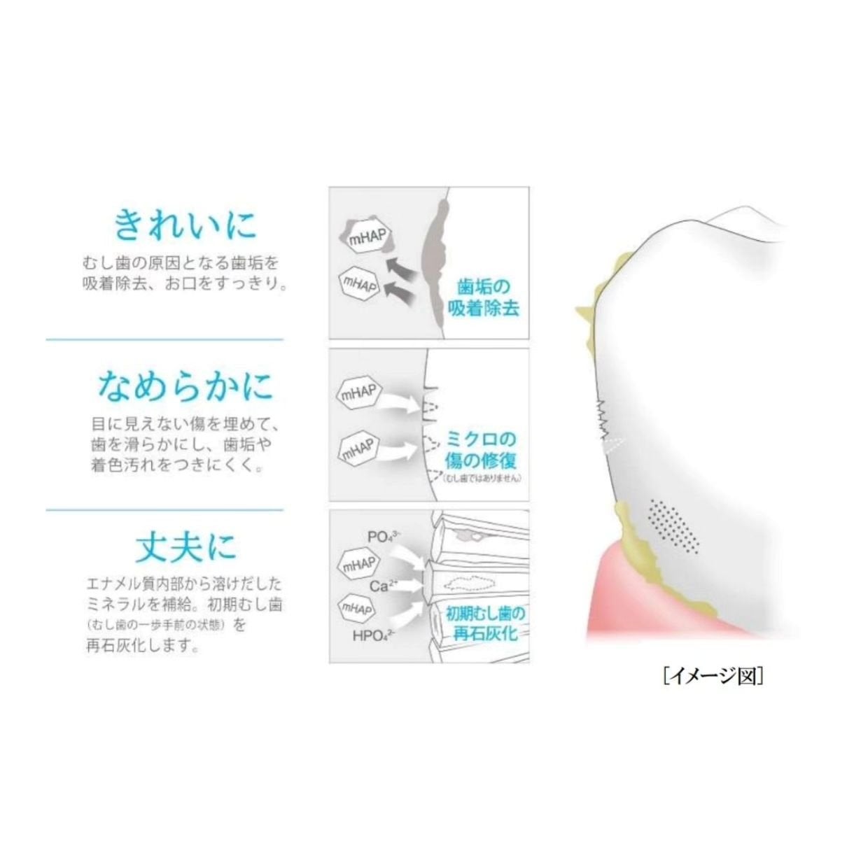 アパガードクリスタル歯ブラシ/アパガード/歯ブラシを使ったクチコミ(5枚目)