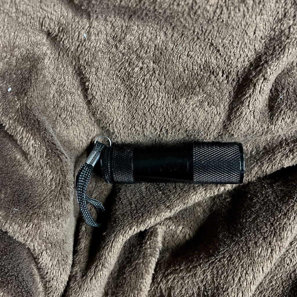 LEDネイルライトハンディタイプ/セリア/ネイル用品を使ったクチコミ（1枚目）