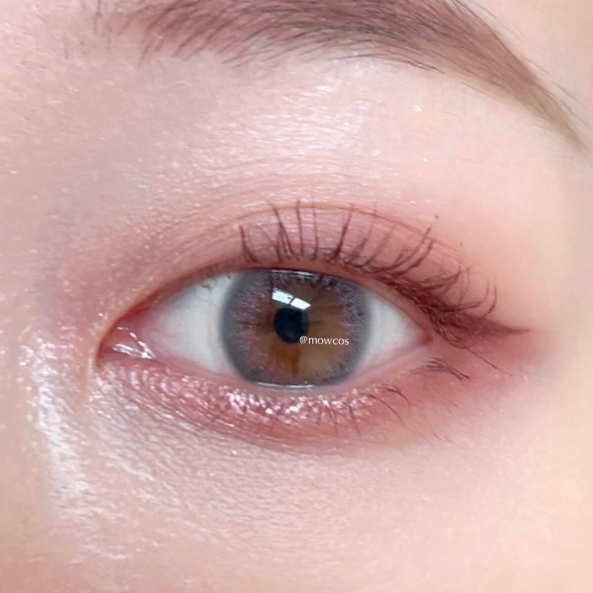 3CE マルチアイカラーパレット/3CE/アイシャドウパレットを使ったクチコミ(6枚目)