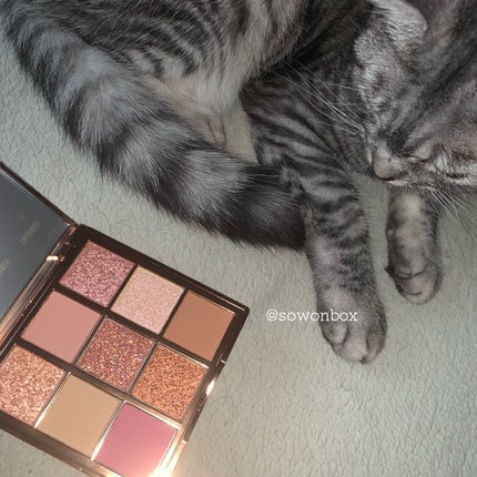 VenusMarble 9色アイシャドウパレット/Venus Marble/アイシャドウパレットを使ったクチコミ(7枚目)