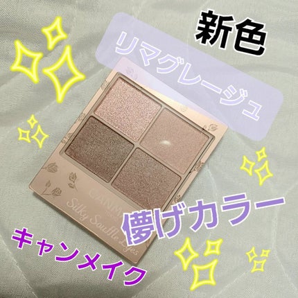 シルキースフレアイズ(マットタイプ)/キャンメイク/アイシャドウパレットを使ったクチコミ(1枚目)
