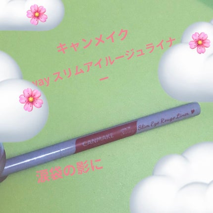 3wayスリムアイルージュライナー/キャンメイク/リキッドアイライナーを使ったクチコミ(1枚目)