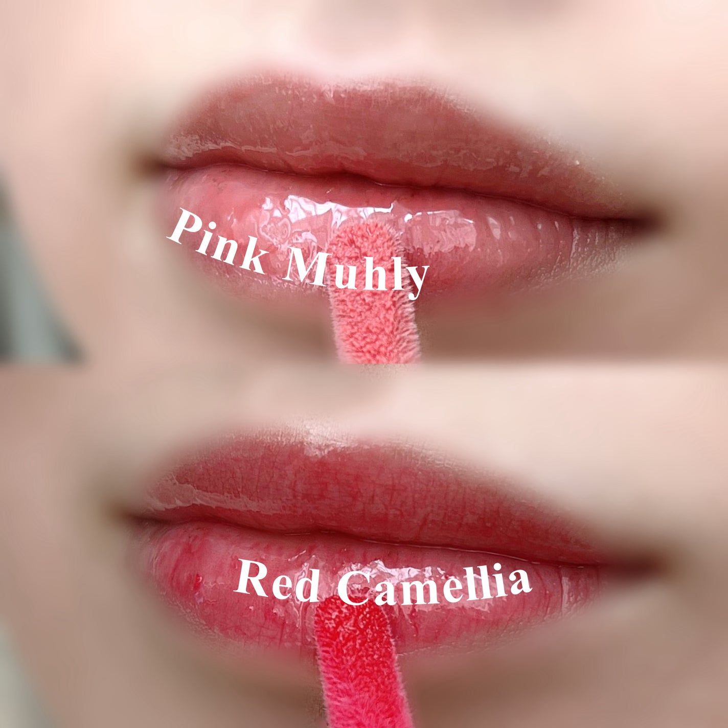 ナチュラルブルームリップオイルセラム 3色セット/PINATE/リップグロスを使ったクチコミ(4枚目)