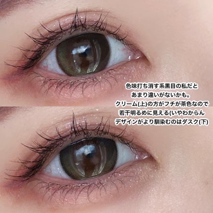 Secretive Kristen 1day/Hapa kristin/ワンデー(1DAY)カラコンを使ったクチコミ(9枚目)