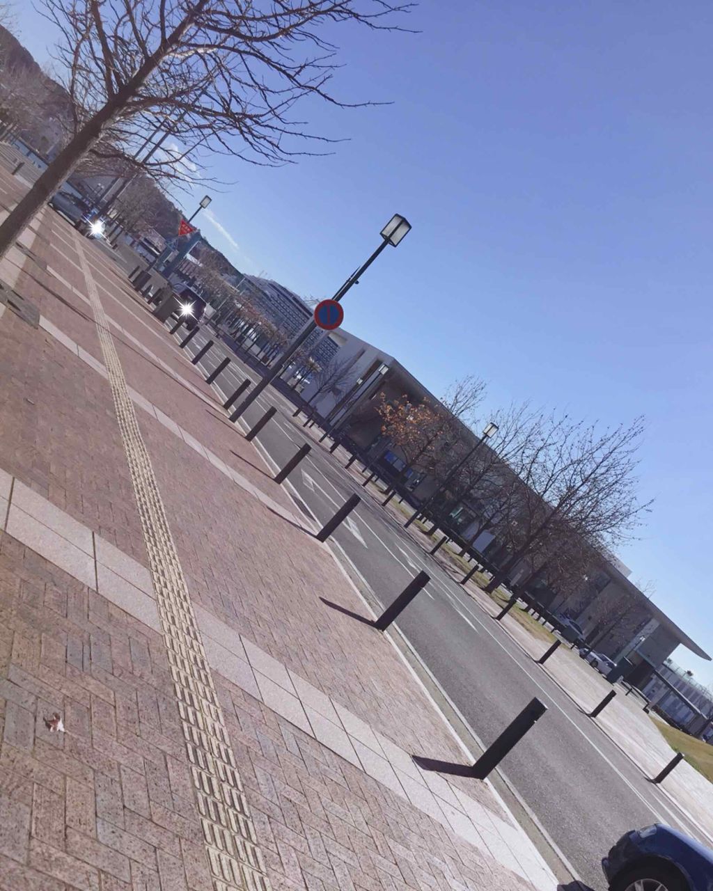 ジルスチュアート リラックス ハンドクリーム/JILL STUART/ハンドクリームを使ったクチコミ(4枚目)