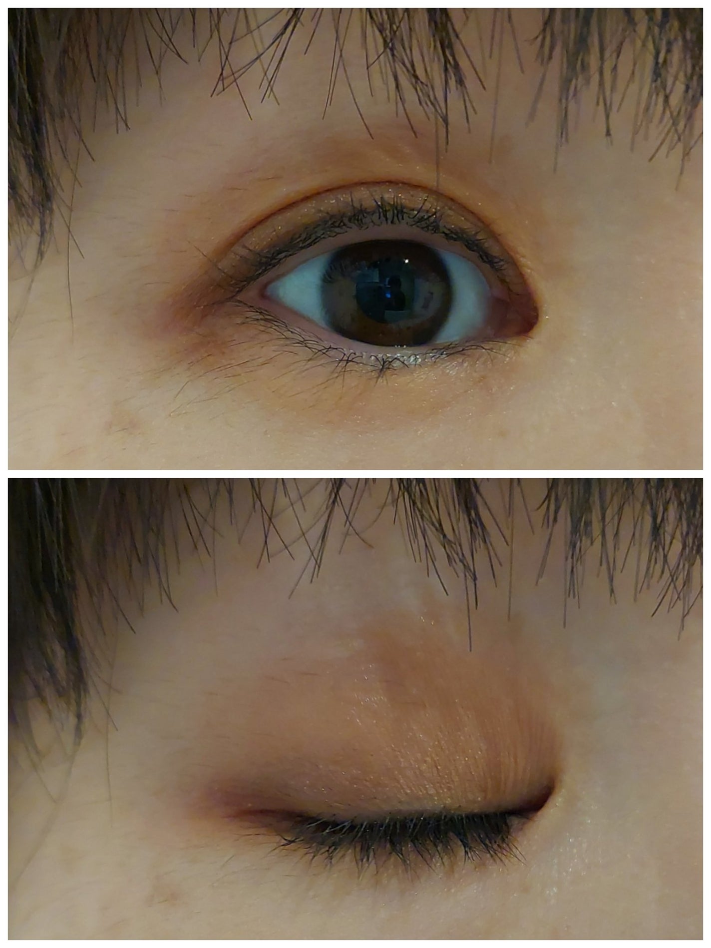 ビタートーンアイシャドウ/CEZANNE/パウダーアイシャドウを使ったクチコミ(4枚目)