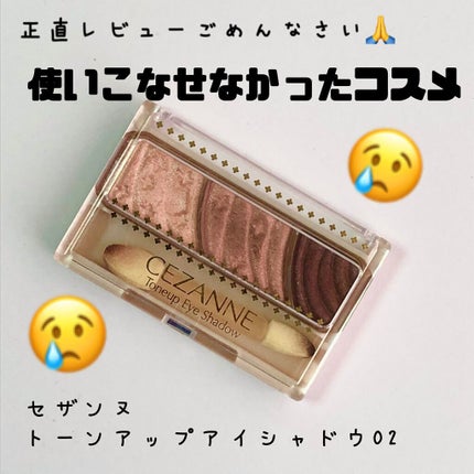 トーンアップアイシャドウ/CEZANNE/アイシャドウパレットを使ったクチコミ(1枚目)