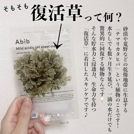 復活草クリーム ニュートリションチューブ/Abib /フェイスクリームを使ったクチコミ(2枚目)