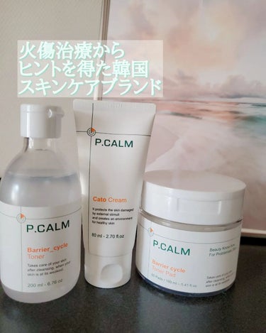 P.CALM バリアサイクルトナーのクチコミ「スキンケア🍀⁡
⁡治療しなければならない⁡
⁡火傷治療からヒントを得て⁡⁡⁡
⁡リアルな肌の悩.....」（1枚目）