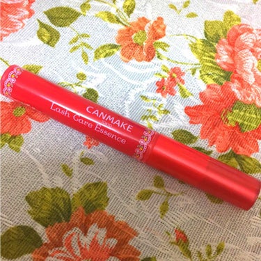 ✨CANMAKE TOKYO lash care Essence
太めのブラシでとても塗りやすく、わたし三日間くらい使用して何度か塗ったら割とすぐにまつげが伸びてきました！！
下まつげと右目のまつげが少