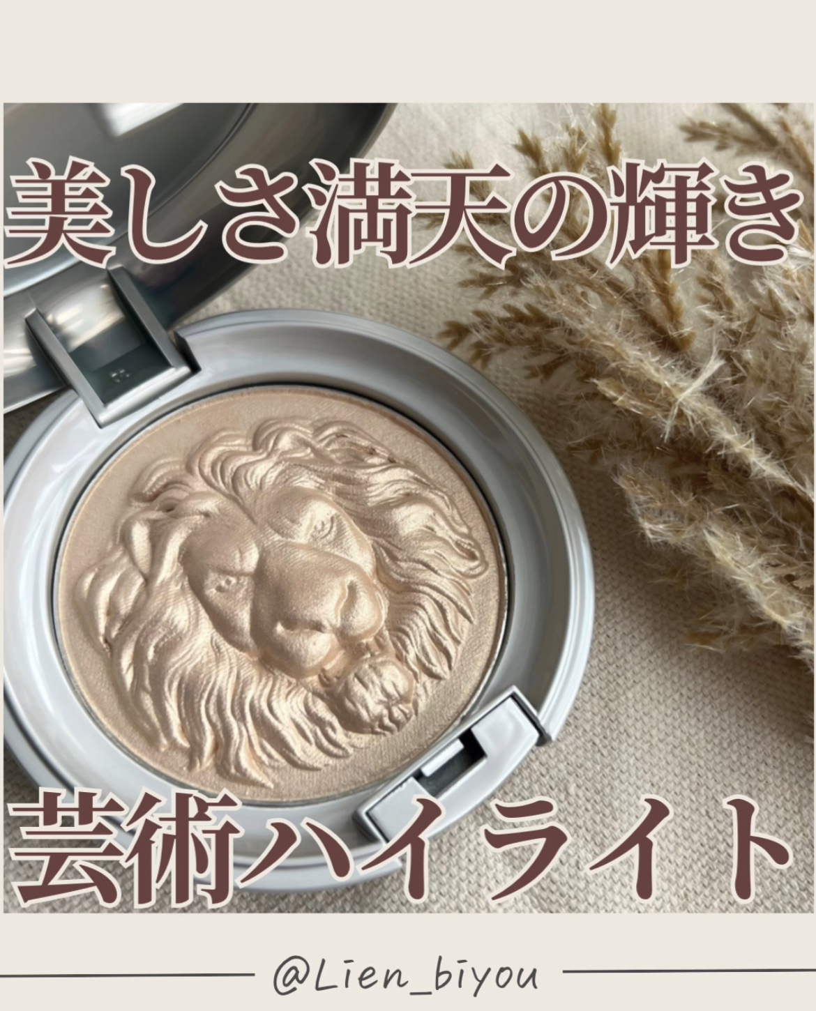 ライオン　ハイライト/元絵師/パウダーハイライトを使ったクチコミ（1枚目）