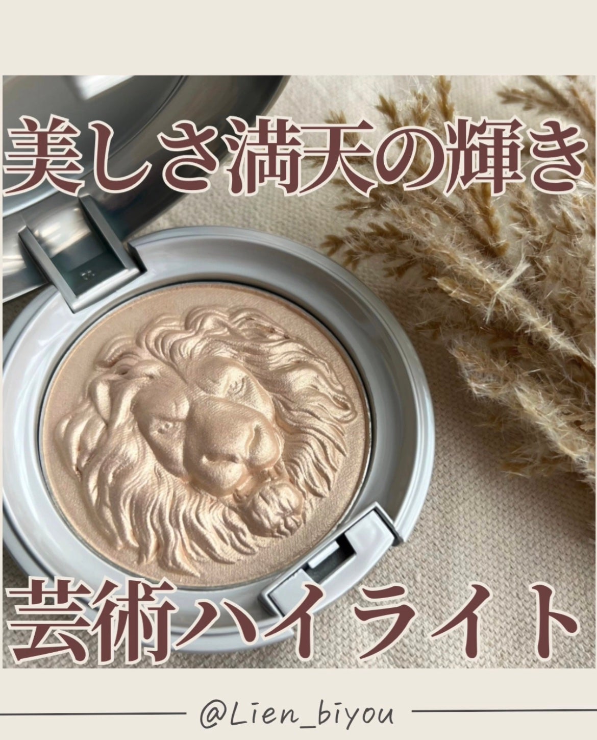 ライオン ハイライト/元絵師/パウダーハイライトを使ったクチコミ(1枚目)