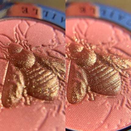 フィランソロピーチークシェイド/シャンテカイユ/パウダーチークを使ったクチコミ(4枚目)