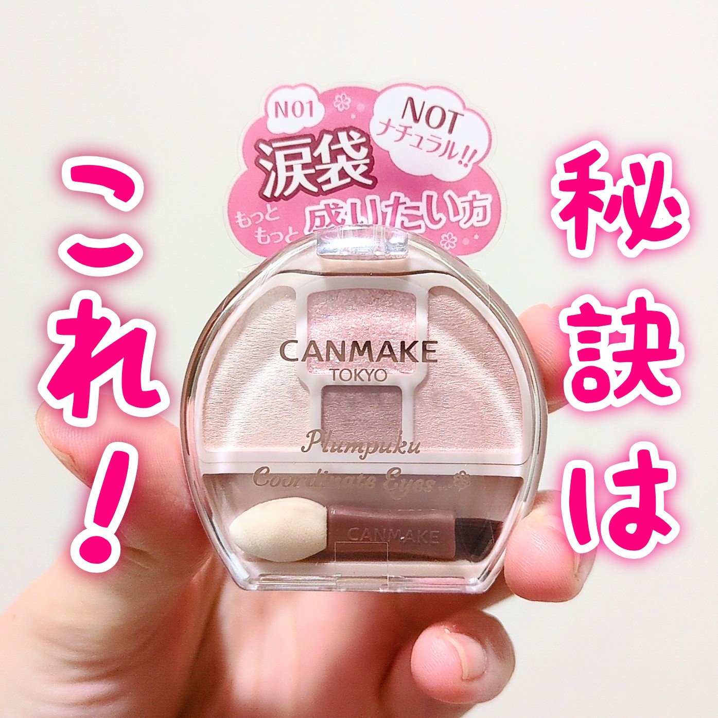 プランぷくコーデアイズNeo/キャンメイク/アイシャドウを使ったクチコミ（2枚目）