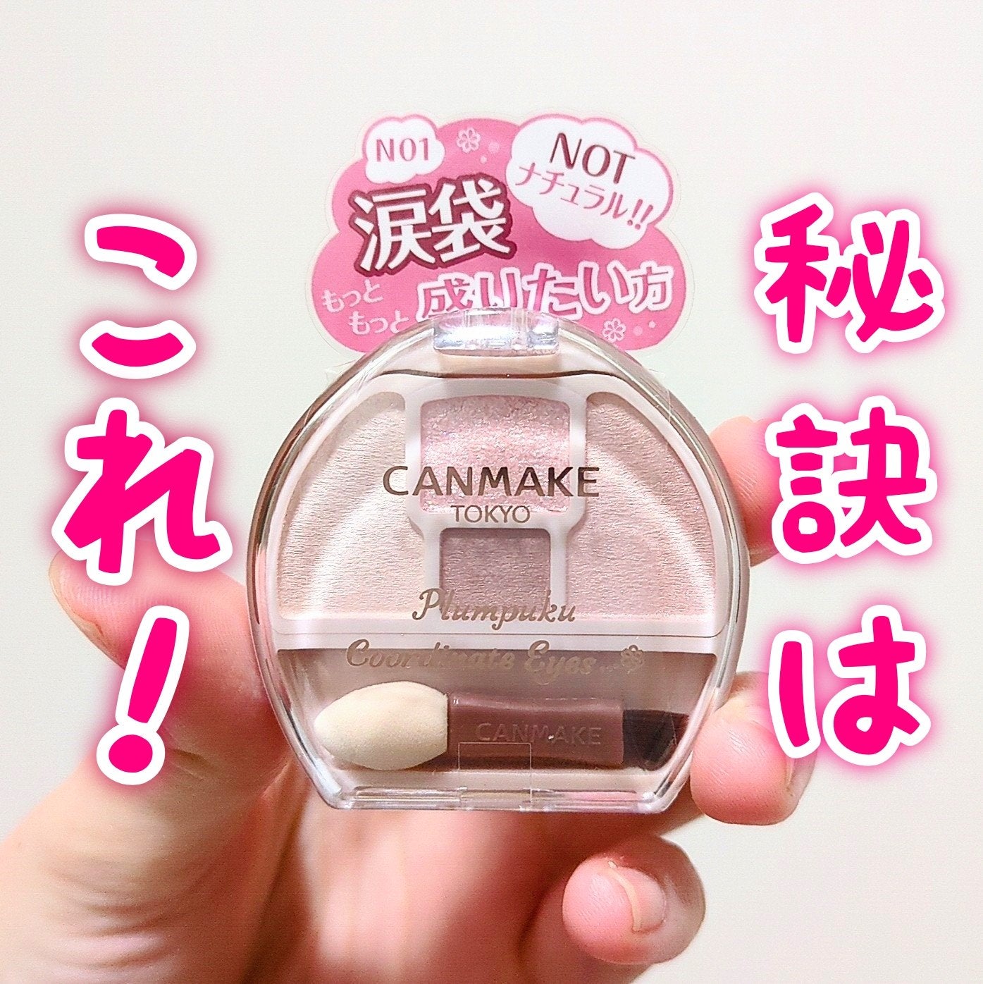 プランぷくコーデアイズNeo/キャンメイク/アイシャドウを使ったクチコミ(2枚目)