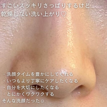 ローソープ /OSAJI/洗顔フォームを使ったクチコミ(8枚目)