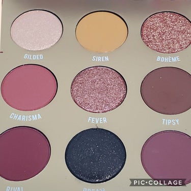 Pressed Powder Shadow /ColourPop/アイシャドウパレットを使ったクチコミ（2枚目）