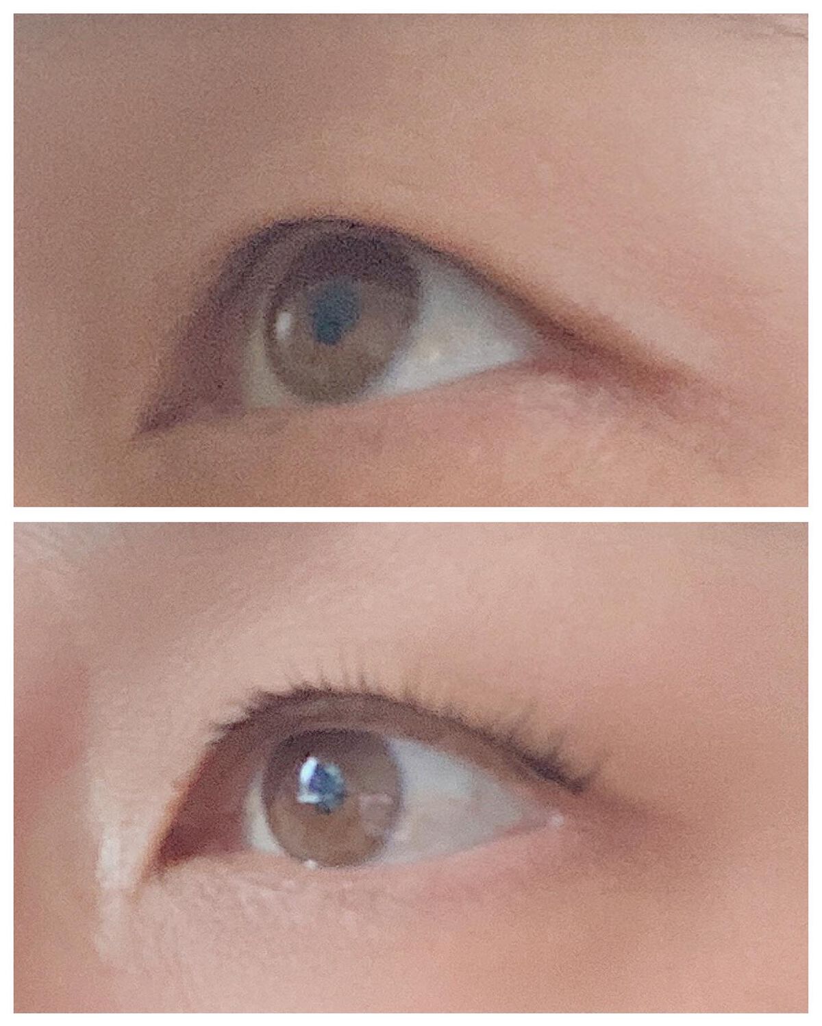 アイラッシュグルー/ミッシュブルーミン/つけまつげを使ったクチコミ(8枚目)