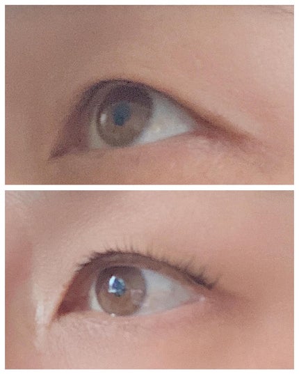 アイラッシュグルー/ミッシュブルーミン/つけまつげを使ったクチコミ(8枚目)