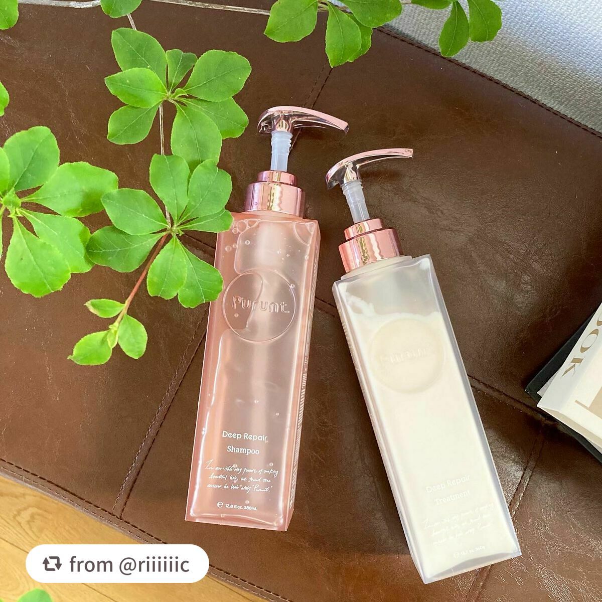 プルント ディープリペア美容液シャンプー/トリートメント/Purunt./市販シャンプーを使ったクチコミ(1枚目)