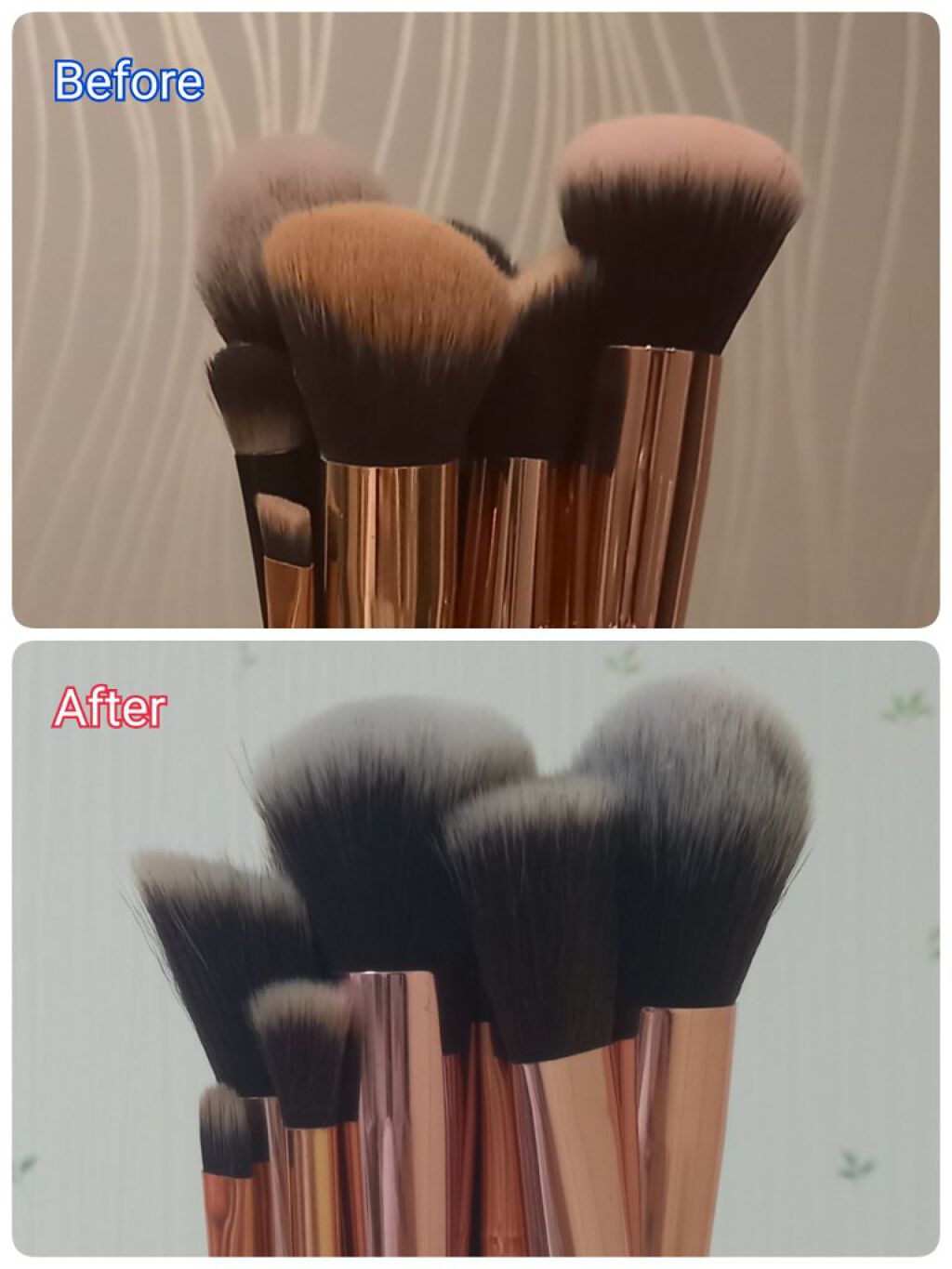 パーフェクトホイップn/SENKA（専科）/洗顔フォームを使ったクチコミ（3枚目）