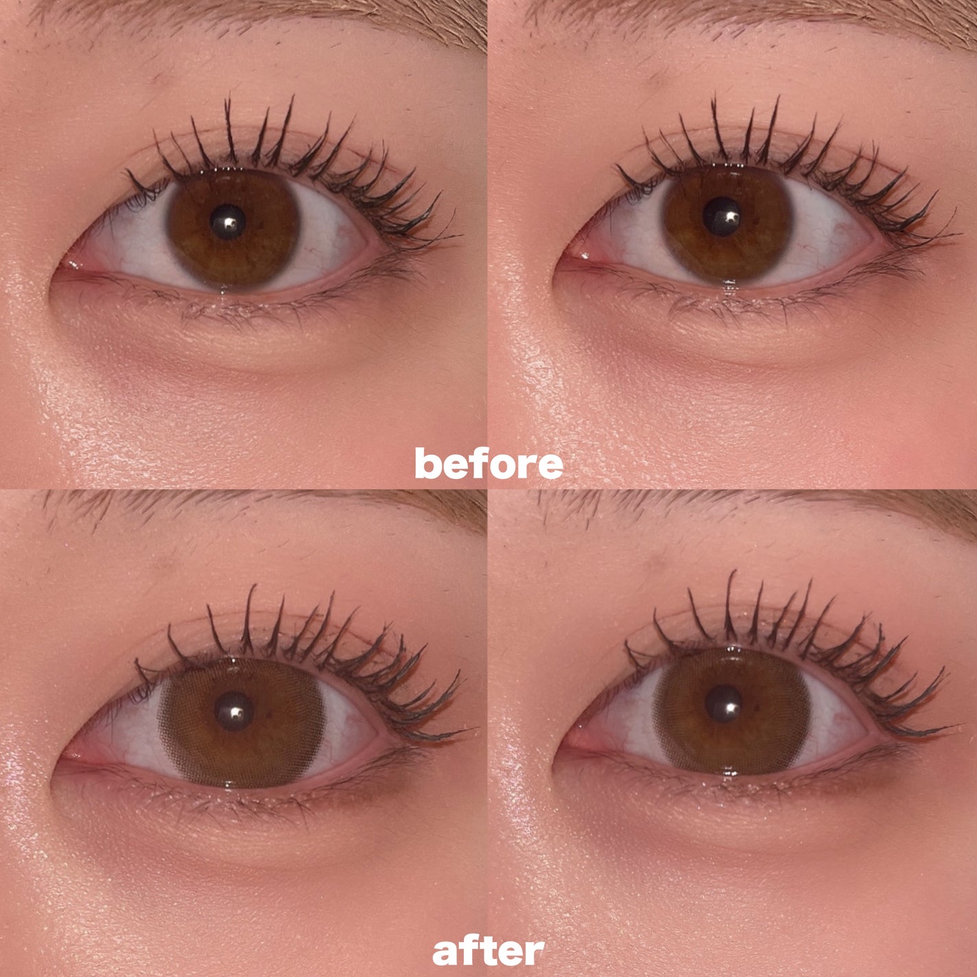 melady 1day/melady/ワンデー(1DAY)カラコンを使ったクチコミ(2枚目)