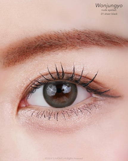 ウォンジョンヨ ヌードアイラッシュ/Wonjungyo/マスカラを使ったクチコミ(6枚目)