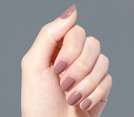 NL06 ドライフラワー