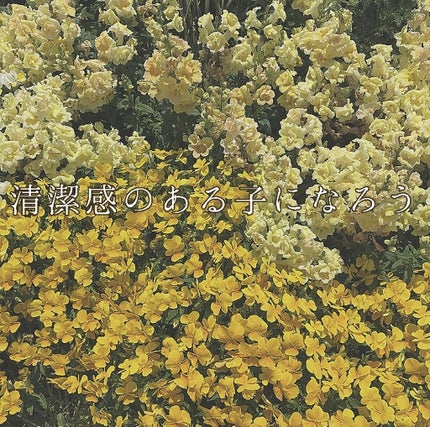 プレミア敏感肌用 Lディスポ/シック/シェーバーを使ったクチコミ(1枚目)