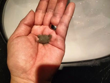 ナチュラルパック /MIRANAL/洗い流すパック・マスクを使ったクチコミ(4枚目)