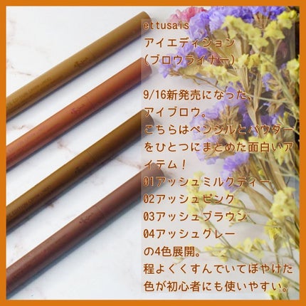 エテュセ アイエディション(ブロウライナー)/ettusais/アイブロウペンシルを使ったクチコミ(2枚目)