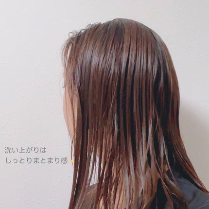 SpaniQ ナノバブルシャンプー/SpaniQ/市販シャンプーを使ったクチコミ(4枚目)