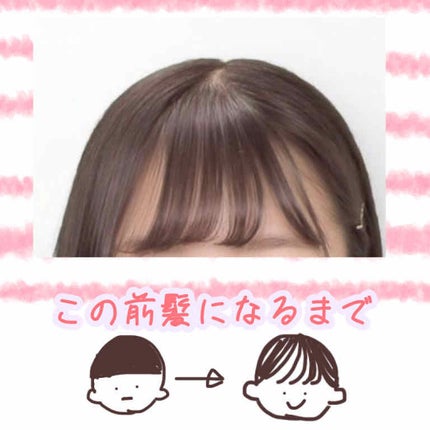 を使ったクチコミ(1枚目)