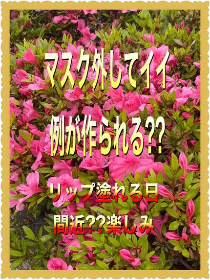 を使ったクチコミ(1枚目)