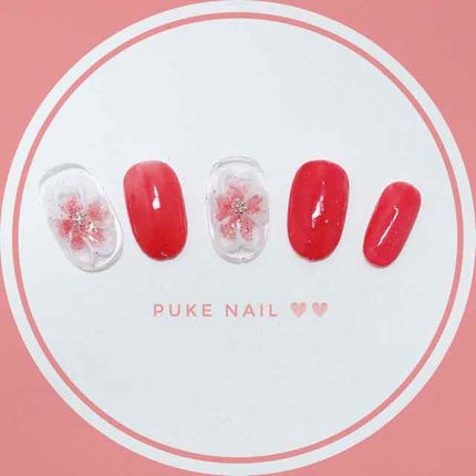 ã䜿ã£ãã¯ãã³ãïŒ1æç®ïŒ