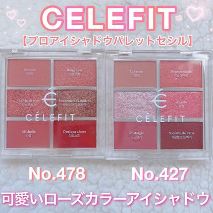 プロアイシャドウパレットセシル/CELEFIT/アイシャドウパレットを使ったクチコミ(1枚目)