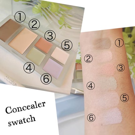 ブリージングコンシーラーパレット/Healus/パレットコンシーラーを使ったクチコミ(8枚目)