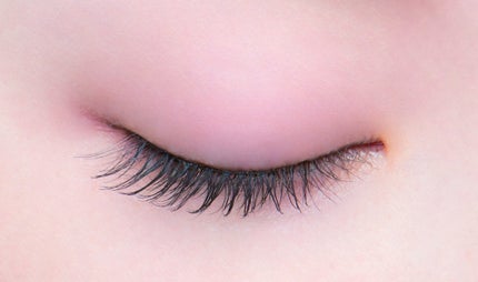 15 束感おフェロなコアラ