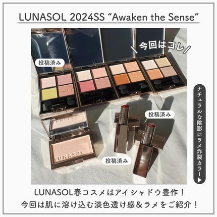 アイカラーレーション/LUNASOL/アイシャドウパレットを使ったクチコミ(2枚目)