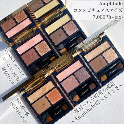 コンスピキュアス アイズ/Amplitude/アイシャドウパレットを使ったクチコミ(1枚目)