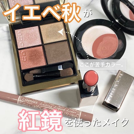 プランプメロウリップス/LUNASOL/口紅を使ったクチコミ(1枚目)