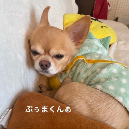 アイ カラー クォード/TOM FORD BEAUTY/アイシャドウパレットを使ったクチコミ(8枚目)