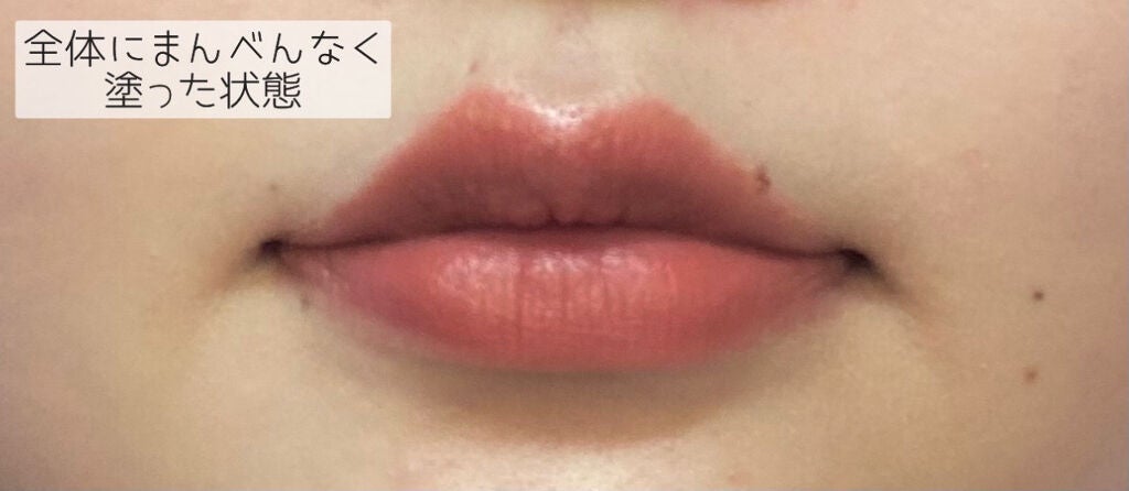 ルージュ デコルテ/DECORTÉ/口紅を使ったクチコミ(5枚目)